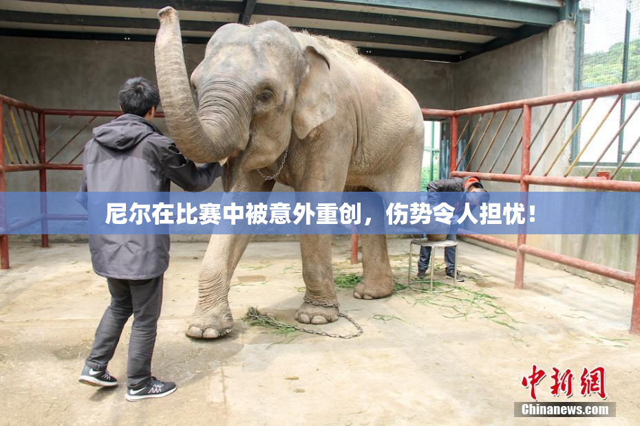 尼尔在比赛中被意外重创，伤势令人担忧！