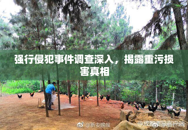 强行侵犯事件调查深入，揭露重污损害真相