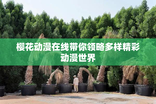 樱花动漫在线带你领略多样精彩动漫世界