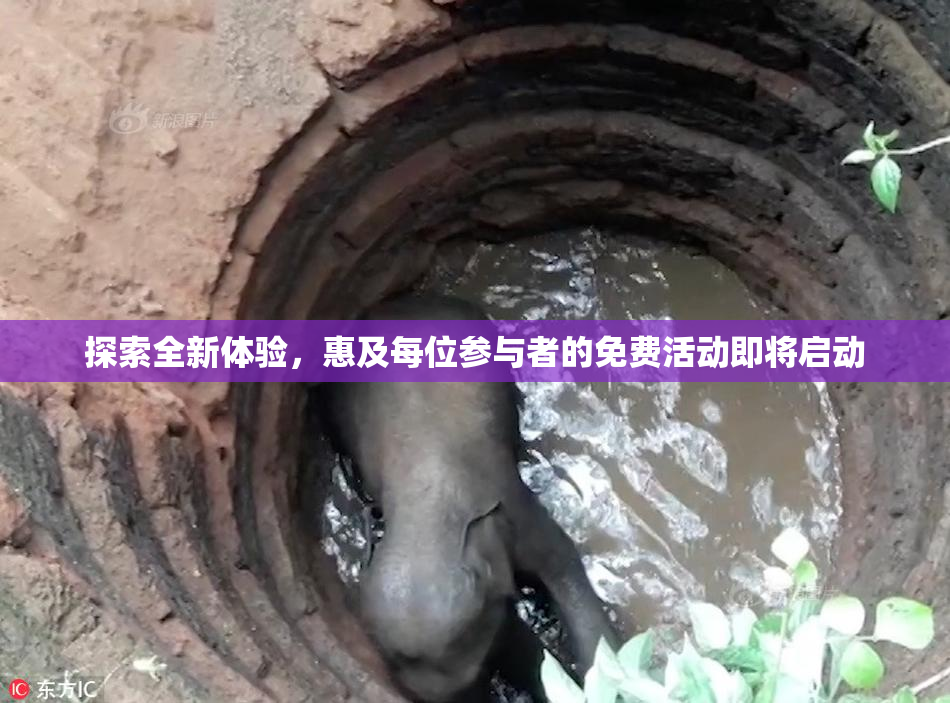 探索全新体验，惠及每位参与者的免费活动即将启动