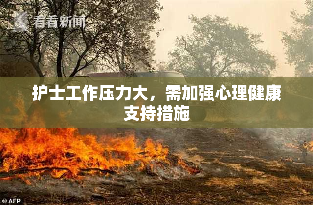 护士工作压力大，需加强心理健康支持措施