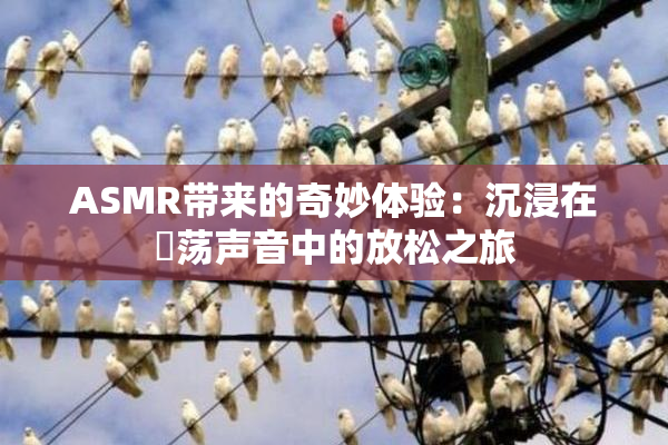 ASMR带来的奇妙体验：沉浸在婬荡声音中的放松之旅