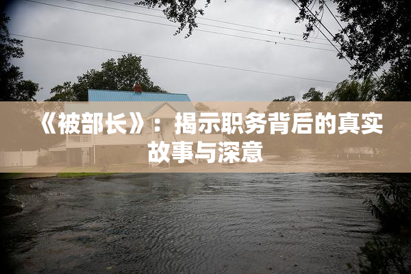 《被部长》：揭示职务背后的真实故事与深意