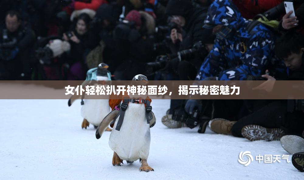 女仆轻松扒开神秘面纱，揭示秘密魅力