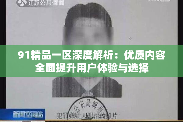 91精品一区深度解析：优质内容全面提升用户体验与选择
