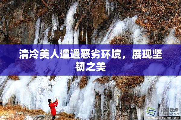 清冷美人遭遇恶劣环境，展现坚韧之美