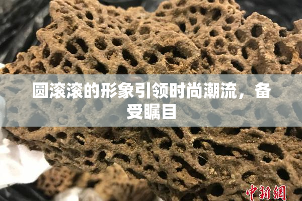 圆滚滚的形象引领时尚潮流，备受瞩目