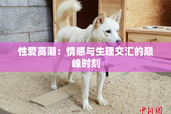 性爱高潮：情感与生理交汇的巅峰时刻