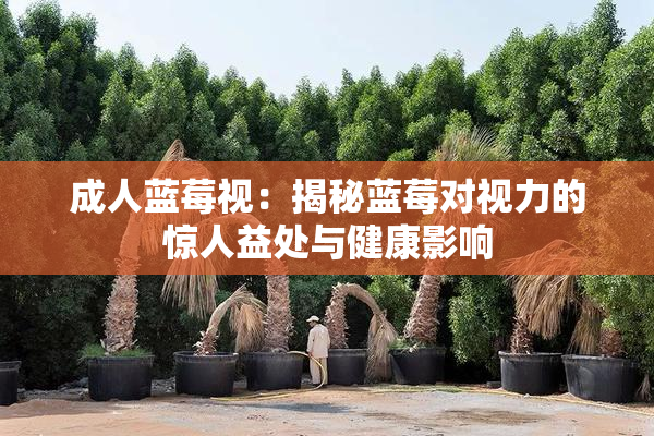 成人蓝莓视：揭秘蓝莓对视力的惊人益处与健康影响