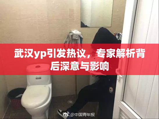 武汉yp引发热议，专家解析背后深意与影响