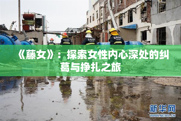 《藤女》：探索女性内心深处的纠葛与挣扎之旅