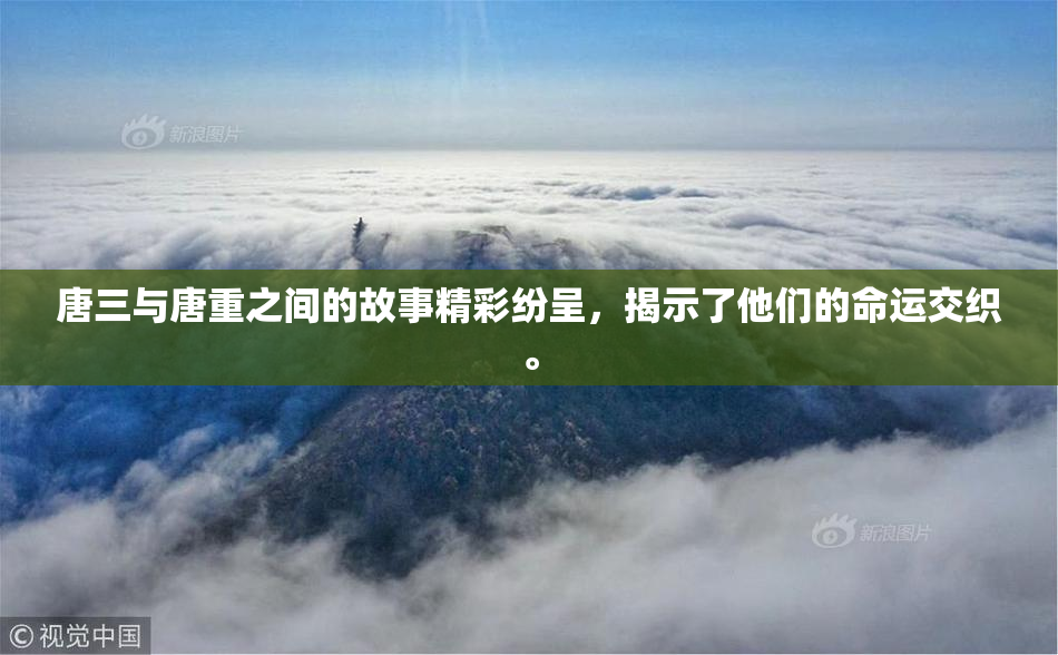唐三与唐重之间的故事精彩纷呈，揭示了他们的命运交织。