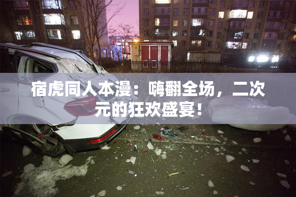 宿虎同人本漫：嗨翻全场，二次元的狂欢盛宴！