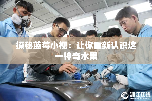 探秘蓝莓小视：让你重新认识这一神奇水果