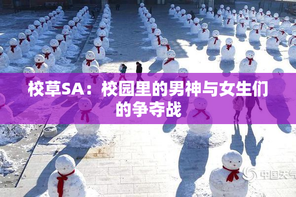 校草SA：校园里的男神与女生们的争夺战