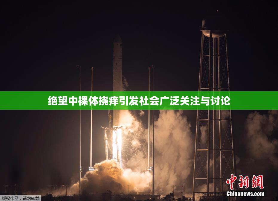 绝望中裸体挠痒引发社会广泛关注与讨论