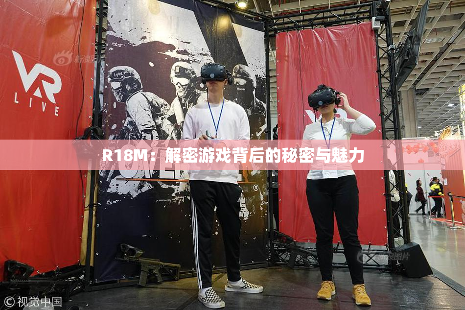 R18M：解密游戏背后的秘密与魅力