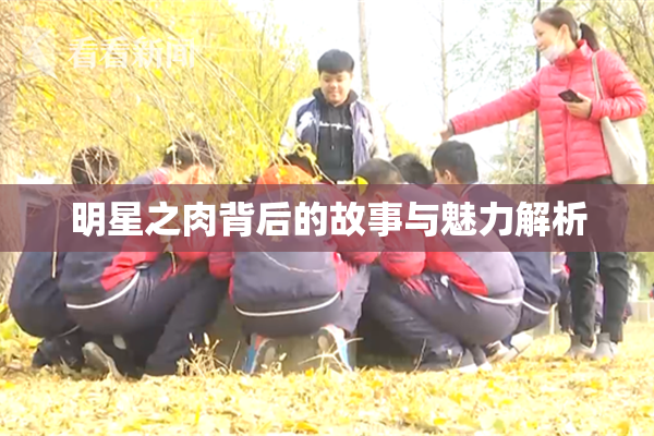 明星之肉背后的故事与魅力解析