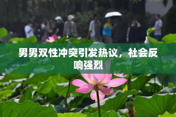 男男双性冲突引发热议，社会反响强烈