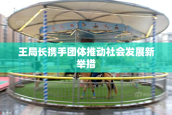 王局长携手团体推动社会发展新举措