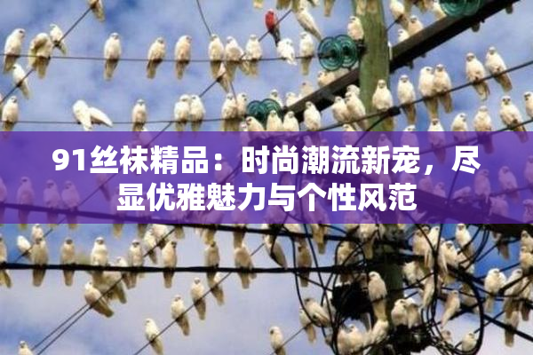 91丝袜精品：时尚潮流新宠，尽显优雅魅力与个性风范