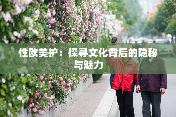 性欧美护：探寻文化背后的隐秘与魅力