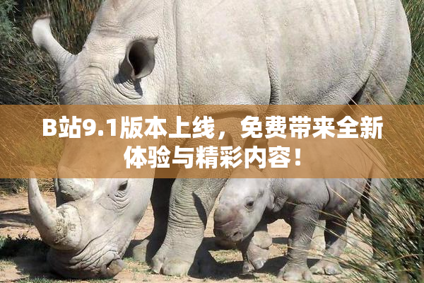 B站9.1版本上线，免费带来全新体验与精彩内容！