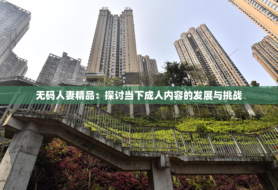 无码人妻精品：探讨当下成人内容的发展与挑战