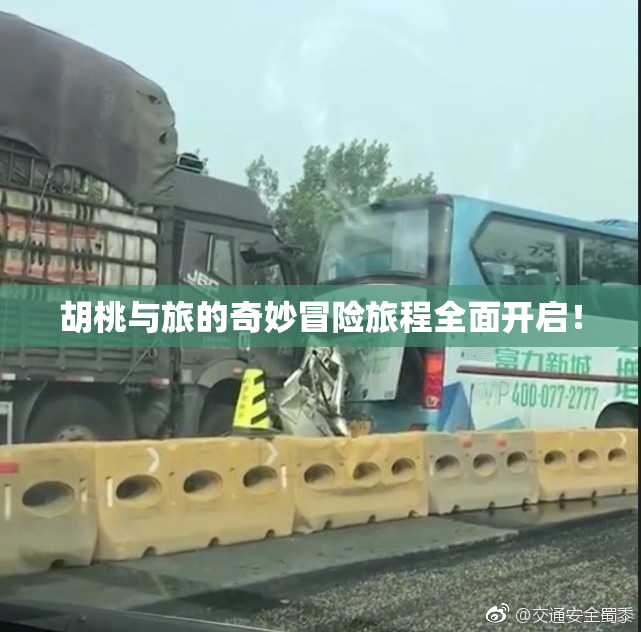 胡桃与旅的奇妙冒险旅程全面开启！