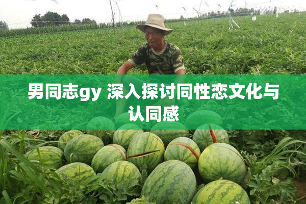 男同志gy 深入探讨同性恋文化与认同感