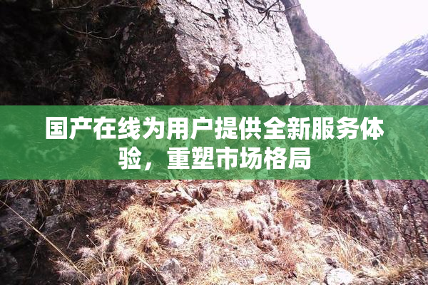 国产在线为用户提供全新服务体验，重塑市场格局