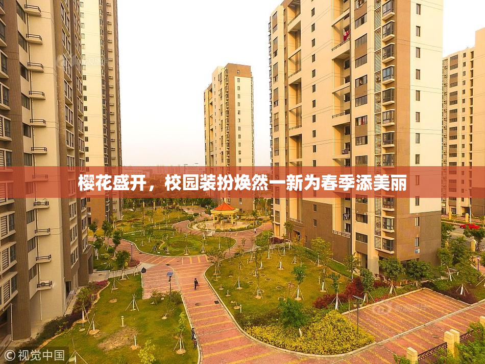 樱花盛开，校园装扮焕然一新为春季添美丽