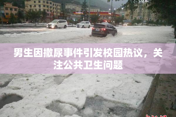 男生因撒尿事件引发校园热议，关注公共卫生问题