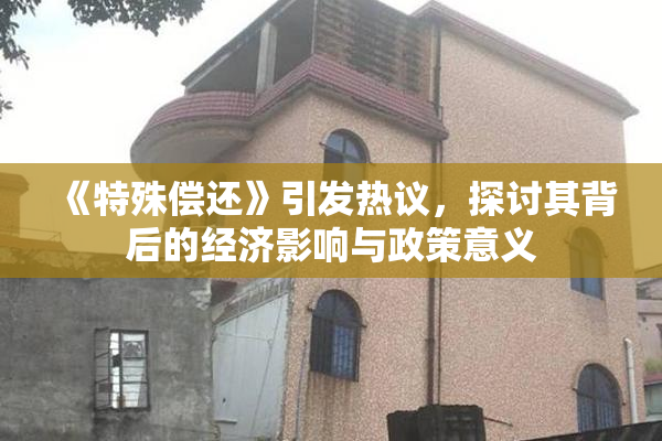 《特殊偿还》引发热议，探讨其背后的经济影响与政策意义
