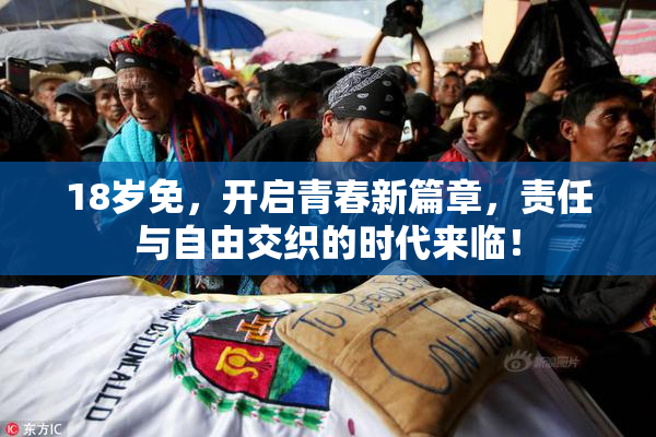 18岁免，开启青春新篇章，责任与自由交织的时代来临！