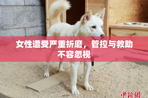 女性遭受严重折磨，管控与救助不容忽视