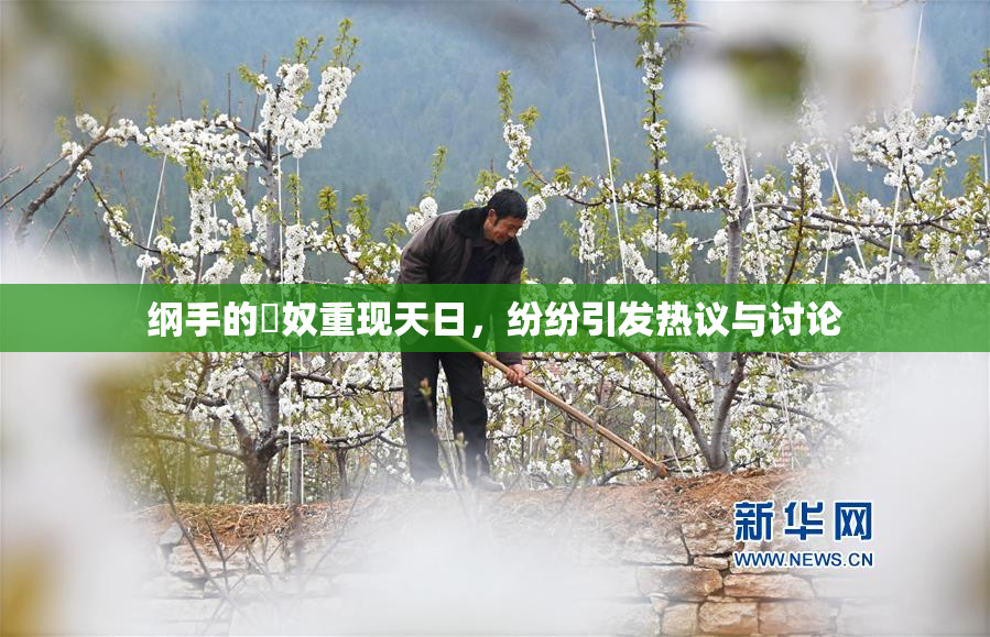 纲手的婬奴重现天日，纷纷引发热议与讨论