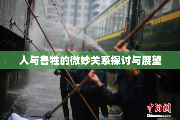 人与鲁牲的微妙关系探讨与展望