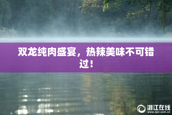 双龙纯肉盛宴，热辣美味不可错过！