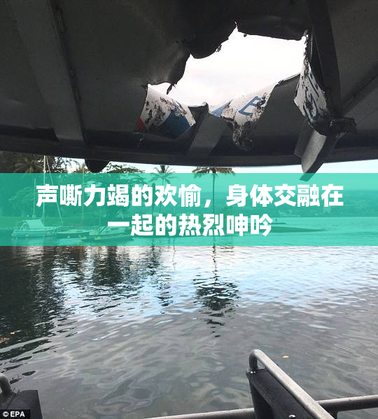 声嘶力竭的欢愉，身体交融在一起的热烈呻吟