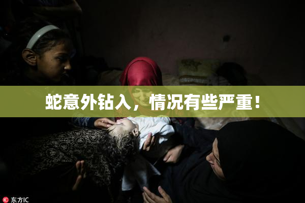 蛇意外钻入，情况有些严重！