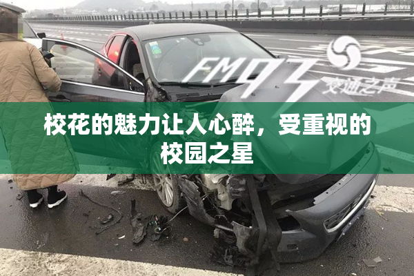 校花的魅力让人心醉，受重视的校园之星