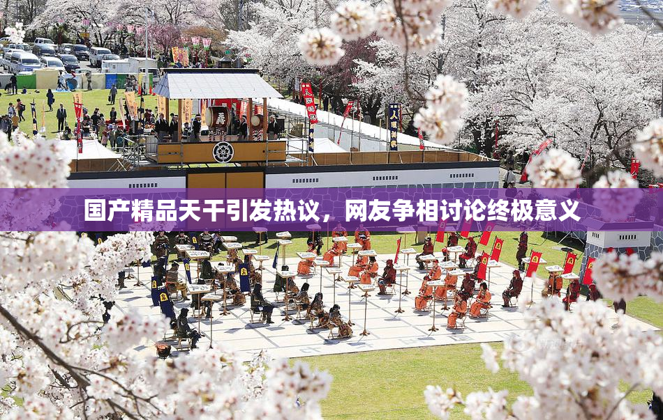 国产精品天干引发热议，网友争相讨论终极意义