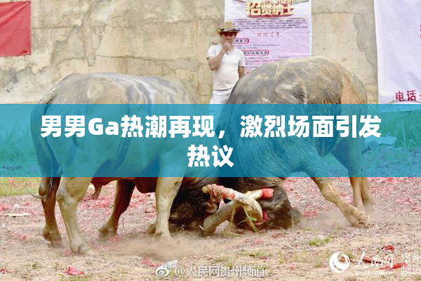男男Ga热潮再现，激烈场面引发热议