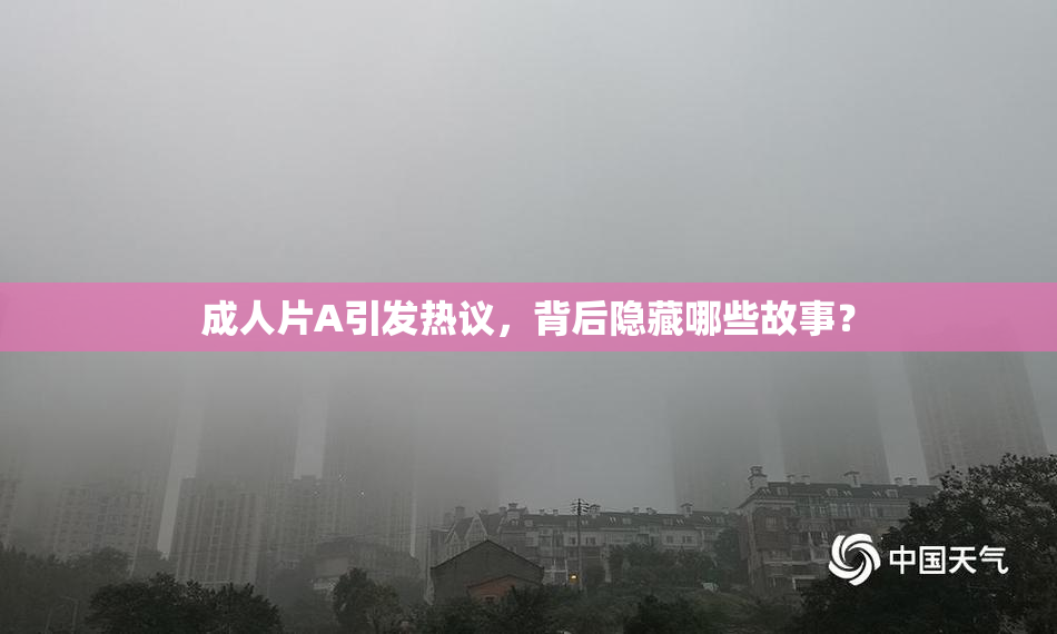 成人片A引发热议，背后隐藏哪些故事？