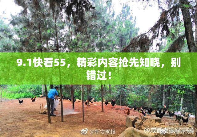 9.1快看55，精彩内容抢先知晓，别错过！