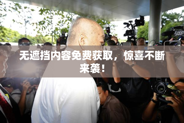 无遮挡内容免费获取，惊喜不断来袭！