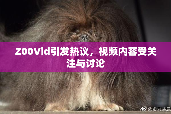 Z00Vid引发热议，视频内容受关注与讨论