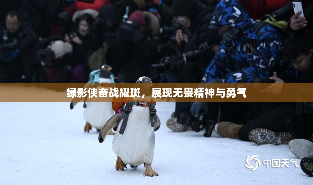 绿影侠奋战耀斑，展现无畏精神与勇气