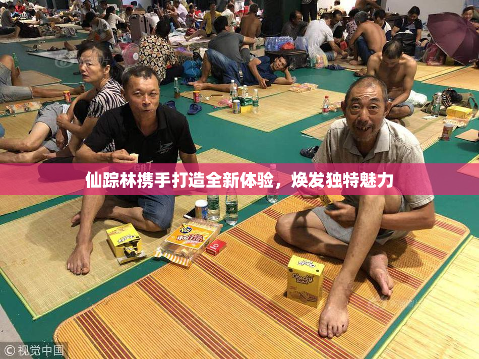 仙踪林携手打造全新体验，焕发独特魅力